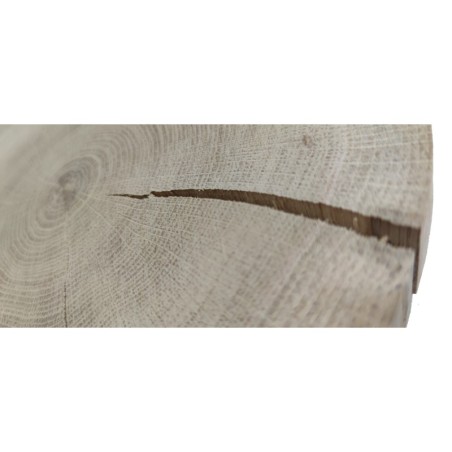 Plaster drewna - fi 20-25 cm - Dąb, gr 3,0 cm