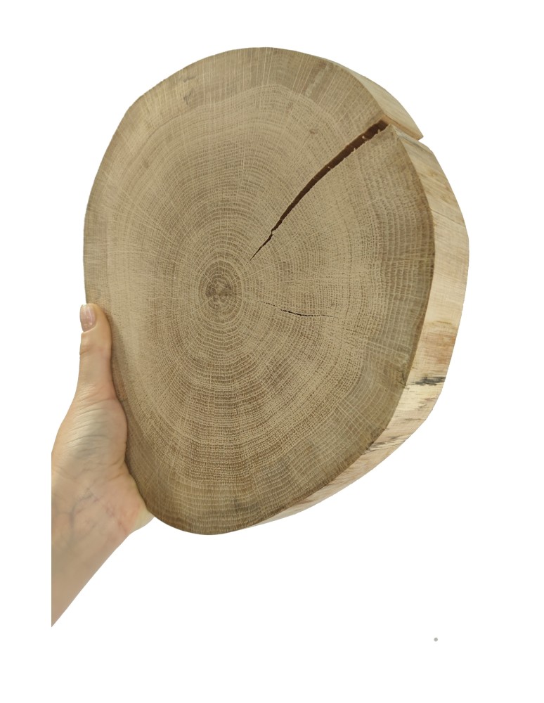 Plastry Okrągłe - Plaster drewna - fi 20-25 cm - Dąb, gr 3,0 cm - produkt MODO24.PL 1