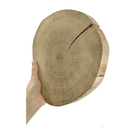 Plaster drewna - fi 20-25 cm - Dąb, gr 3,0 cm