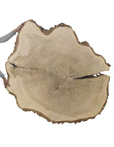 Plaster Drewna Topoli  ~ dł. 175/ szer. max. 150/ gr. 12 cm ~ 113939
