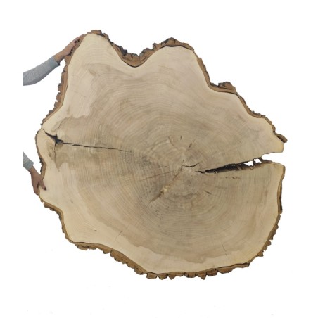 Owalny Plaster Dębu ⭖ Z Korą/Surowy ⭖  wym. 175/150/12 cm ⭖ DIY