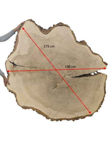 Plaster Drewna Topoli  ~ dł. 175/ szer. max. 150/ gr. 12 cm ~ 113939 - product 2