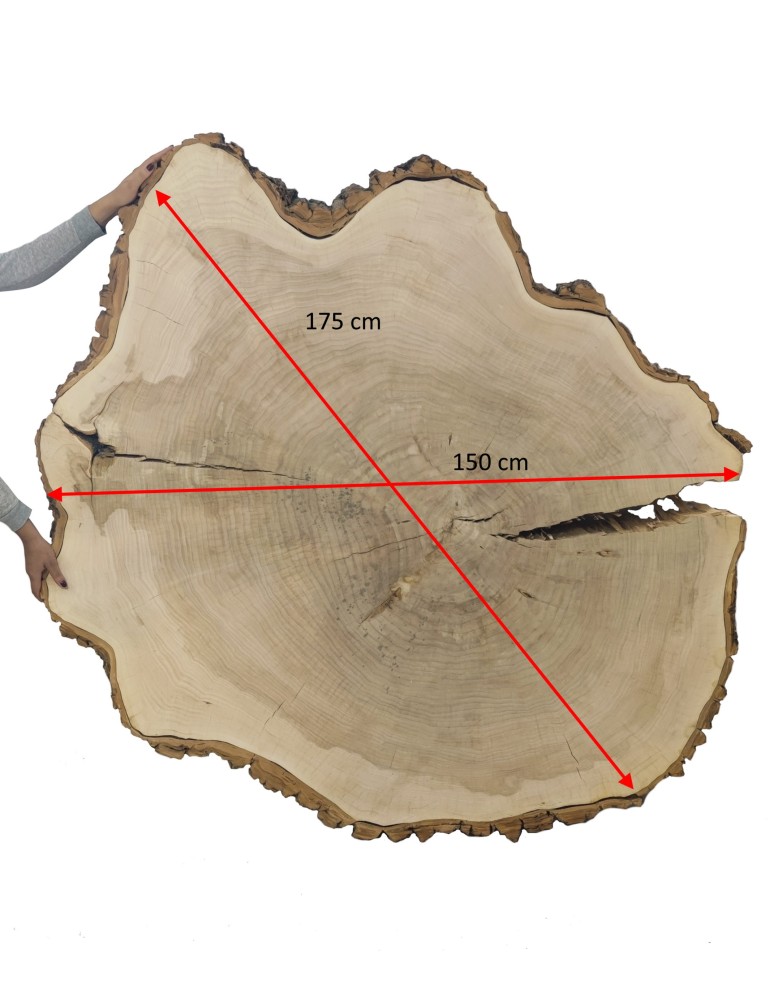 Stoły i Stoliki - Plaster Drewna Topoli  ~ dł. 175/ szer. max. 150/ gr. 12 cm ~ 113939 - product MODO24.PL 2