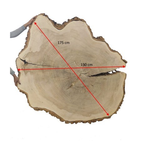 Owalny Plaster Dębu ⭖ Z Korą/Surowy ⭖  wym. 175/150/12 cm ⭖ DIY