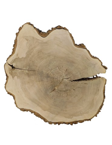 Stoły i Stoliki - Plaster Drewna Topoli  ~ dł. 175/ szer. max. 150/ gr. 12 cm ~ 113939 - product 3