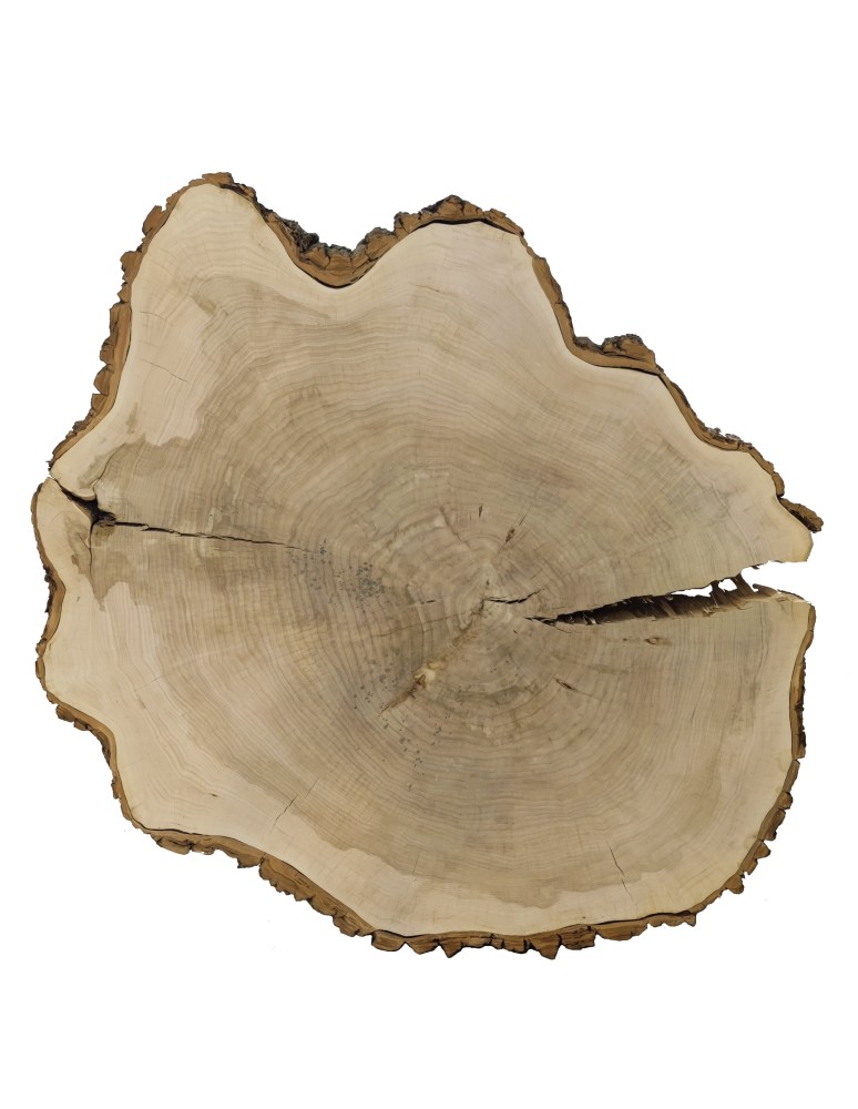 Stoły i Stoliki - Plaster Drewna Topoli  ~ dł. 175/ szer. max. 150/ gr. 12 cm ~ 113939 - product MODO24.PL 3