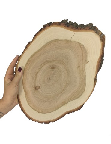 Taca Drewniana Ozdobna ✦ Naturalna Czeremcha z Korą ✦ dł  35-40 cm