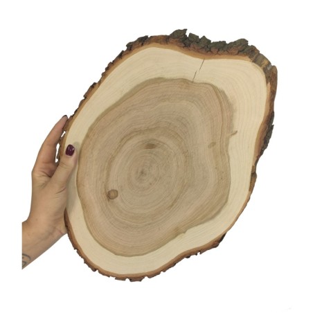 Taca Drewniana Ozdobna ✦ Naturalna Czeremcha z Korą ✦ dł  35-40 cm