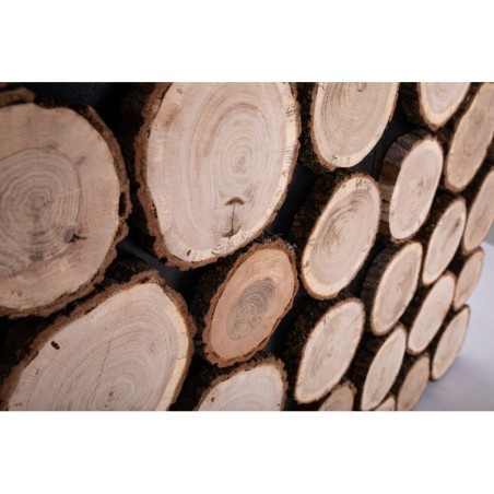 Ozdobny Panel Ścienny ⭑ Plastry Dębu ⭑ 1 sztuka