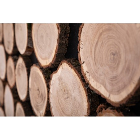 Ozdobny Panel Ścienny ⭑ Plastry Dębu ⭑ 1 sztuka