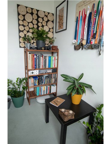 Drewniane Panele Ścienne/ Panele z Plastrów - Ozdobny Panel Ścienny ⭑ Plastry MIX POLSKICH LASÓW ⭑ 1 sztuka - product 2