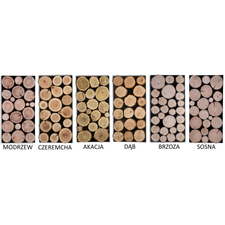 Ozdobny Panel Ścienny ⭑ Plastry MIX POLSKICH LASÓW ⭑ 1 sztuka