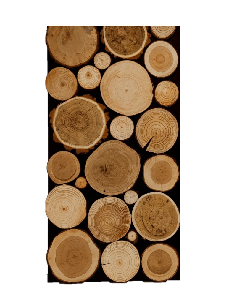 Drewniane Panele Ścienne/ Panele z Plastrów - Ozdobny Panel Ścienny ⭑ Plastry MIX POLSKICH LASÓW ⭑ 1 sztuka - produkt MODO24.PL 1