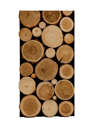 Drewniane Panele Ścienne/ Panele z Plastrów - Ozdobny Panel Ścienny ⭑ Plastry MIX POLSKICH LASÓW ⭑ 1 sztuka - product 7