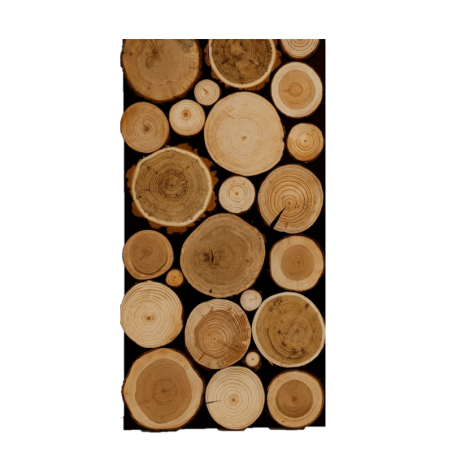 Ozdobny Panel Ścienny ⭑ Plastry MIX POLSKICH LASÓW ⭑ 1 sztuka