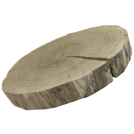 Duży Plaster Drewna - fi 40-45 cm - Dąb, gr 5,0 cm