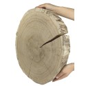 Duży Plaster Drewna - fi 40-45 cm - Dąb, gr 5,0 cm