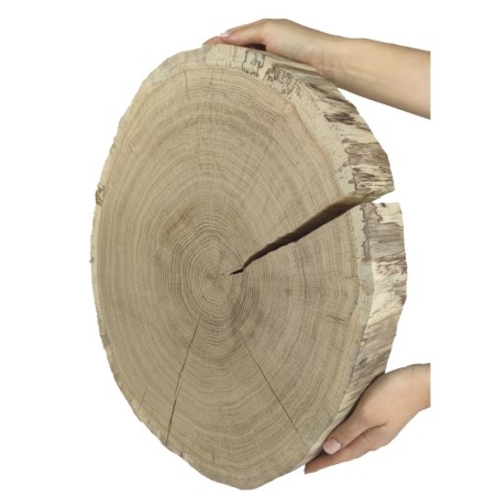 Duży Plaster Drewna - fi 40-45 cm - Dąb, gr 5,0 cm