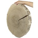 Duży Plaster Drewna - fi 40-45 cm - Dąb, gr 5,0 cm