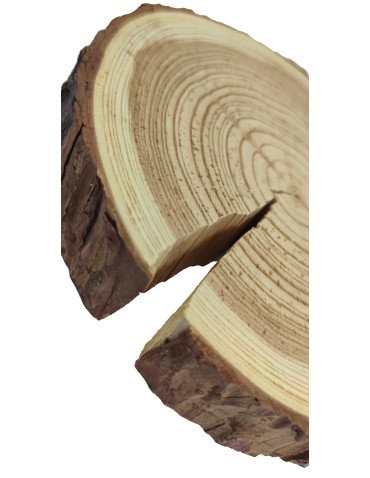 Plaster drewna z korą - fi 20-25 cm - Modrzew, gr 3,0 cm - product 2