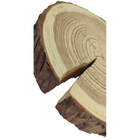 Plaster drewna z korą - fi 20-25 cm - Modrzew, gr 3,0 cm