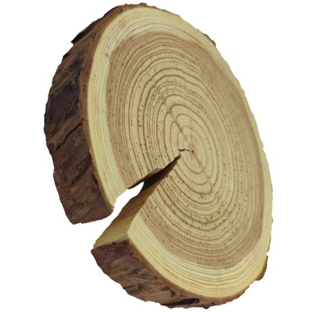 Plaster drewna z korą - fi 20-25 cm - Modrzew, gr 3,0 cm