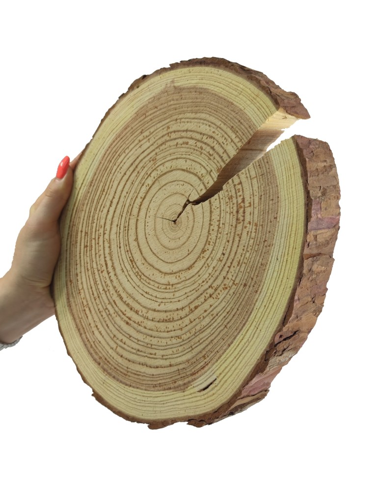 Plastry Okrągłe - Plaster drewna z korą - fi 20-25 cm - Modrzew, gr 3,0 cm - product MODO24.PL 1