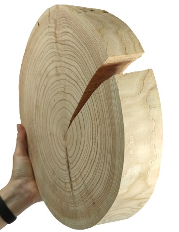 Plaster drewna - fi 30-35 cm - Modrzew, gr 5,0 cm