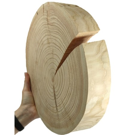 Plaster drewna - fi 30-35 cm - Modrzew, gr 5,0 cm