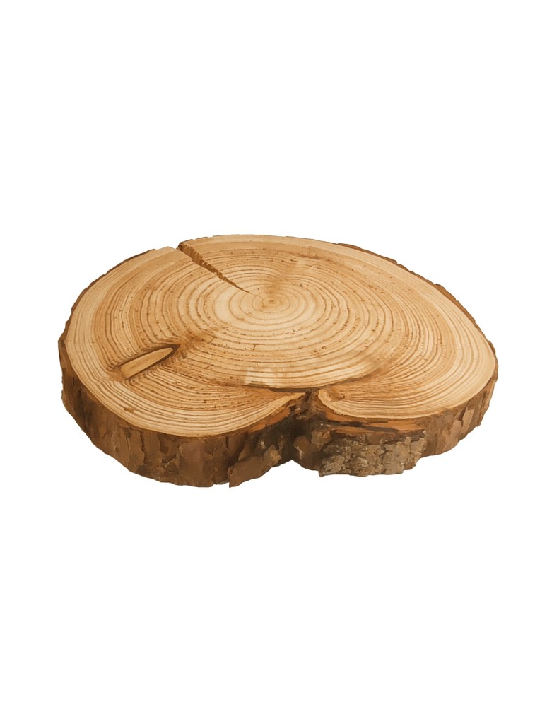 Plastry Okrągłe - Plaster drewna - fi 30-35 cm - Modrzew, gr 4,0 cm 133133 - produkt MODO24.PL 1