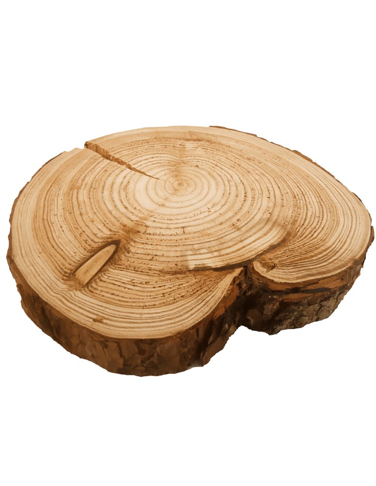 Plastry Okrągłe - Plaster drewna - fi 25-30 cm - Modrzew, gr 3,0 cm 132258 - produkt MODO24.PL 1
