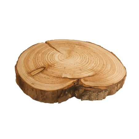 Plaster drewna - fi 25-30 cm - Modrzew, gr 3,0 cm 132258