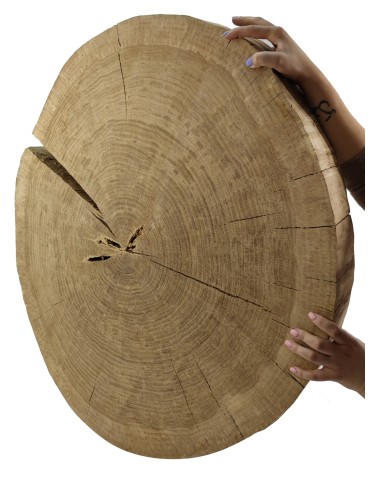 Dębowy Blat Na Stolik ❍ Plaster Drewna bez Kory ❍ Dł  90 cm  UNIKAT 114741