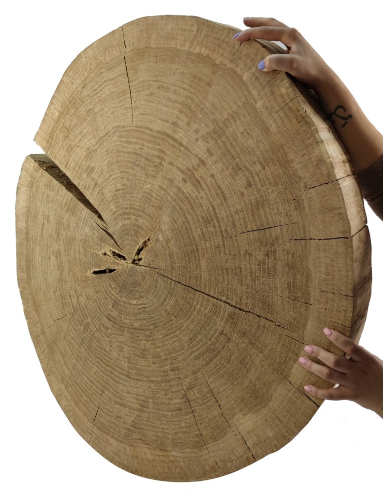 Blaty Drewniane - Dębowy Blat Na Stolik ❍ Plaster Drewna bez Kory ❍ Dł  90 cm  UNIKAT 114741 - produkt MODO24.PL 1