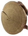 Dębowy Blat Na Stolik ❍ Plaster Drewna bez Kory ❍ Dł  90 cm  UNIKAT 114741