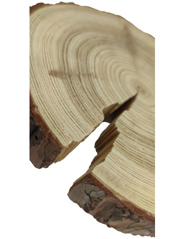 Plaster drewna z korą - fi 15-20 cm - Modrzew, gr 2,5 cm - product 2