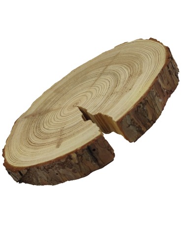 Plastry Okrągłe - Plaster drewna z korą - fi 15-20 cm - Modrzew, gr 2,5 cm - product 3