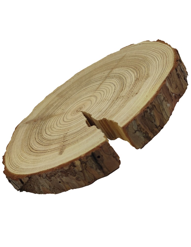 Plastry Okrągłe - Plaster drewna z korą - fi 15-20 cm - Modrzew, gr 2,5 cm - product MODO24.PL 3