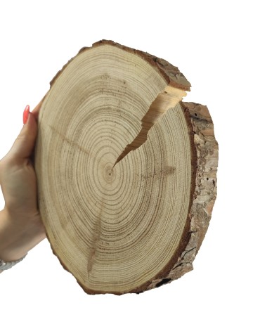Plaster drewna z korą - fi 15-20 cm - Modrzew, gr 2,5 cm