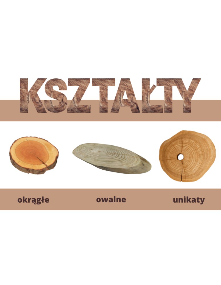 Plastry Okrągłe - Plastry Drewna Bez Kory- fi 20-25 cm - Czeremcha, Zestaw 10 szt - product MODO24.PL 1