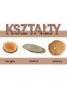 Plastry Drewna Bez Kory- fi 20-25 cm - Czeremcha, Zestaw 10 szt