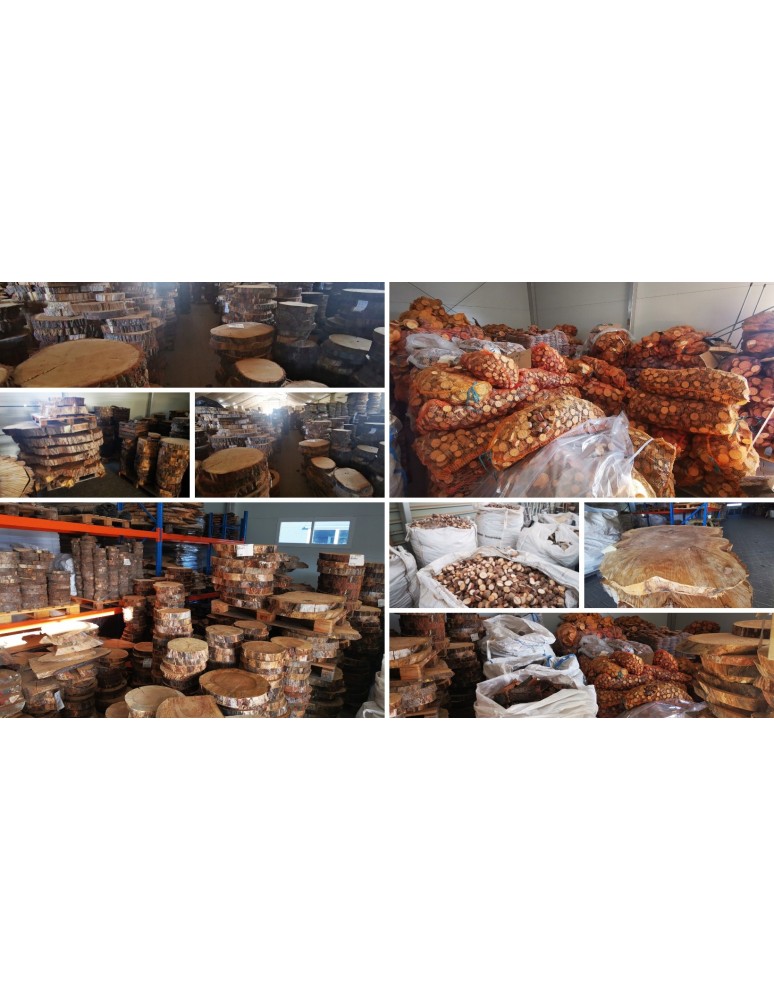 Plastry Okrągłe - Okorowany Plaster Akacji 20-25cm/gr.3cm/Szlif - product MODO24.PL 12