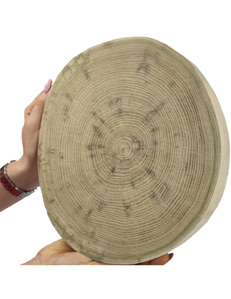 Plastry Okrągłe - Okorowany Plaster Akacji 25-30cm/gr.3cm/Szlif - product MODO24.PL 1