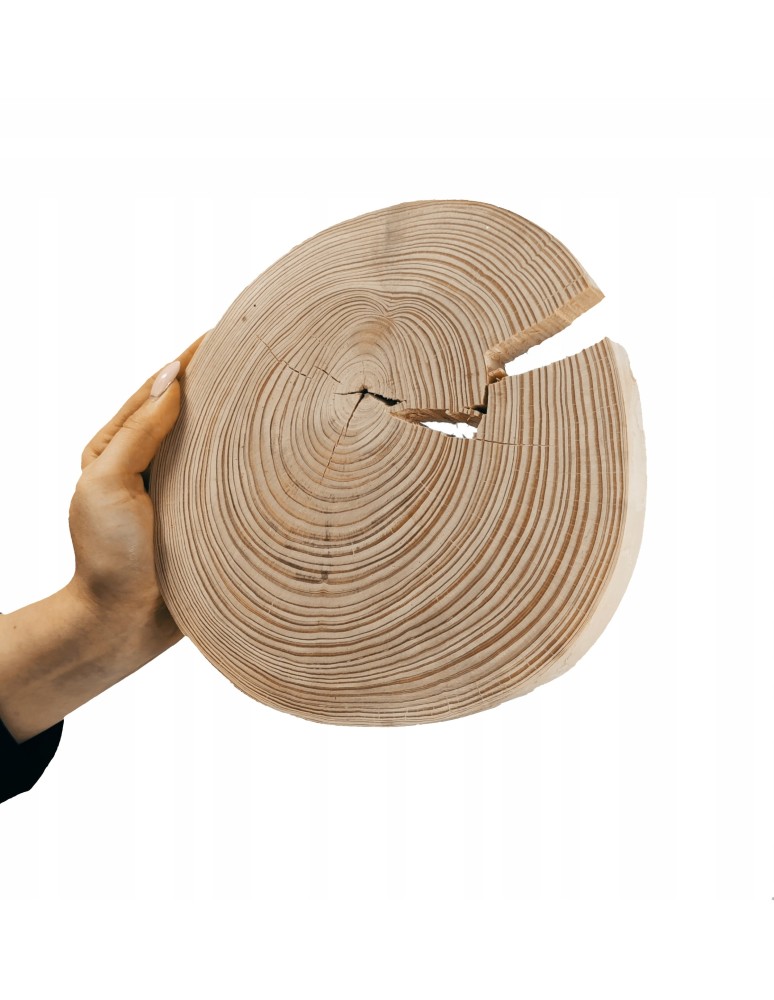 Plastry Okrągłe - Okorowany Plaster Sosny 15-20cm/gr.3cm/Szlif - produkt MODO24.PL 1