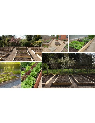 Dom i ogród - Duża skrzynia na warzywa ZP06 /27x203x117 cm/ Naturalna - product 12