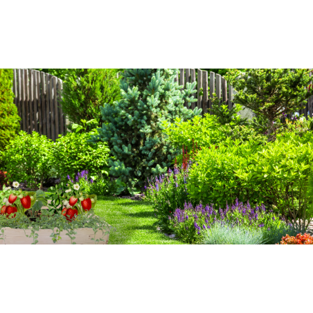 Wielka skrzynia na warzywa ZP06 /27x237x100 cm/ Naturalna