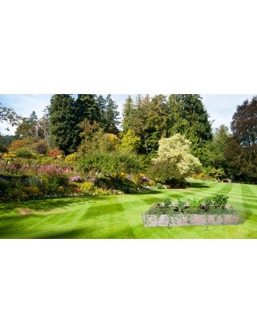 Dom i ogród - Skrzynia na warzywa ZP06 /27x103x100 cm/ Brązowa - product 9