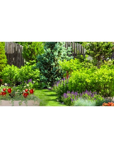 Dom i ogród - Duża skrzynia na warzywa ZP06 /27x203x80 cm/ Brązowa - product 10