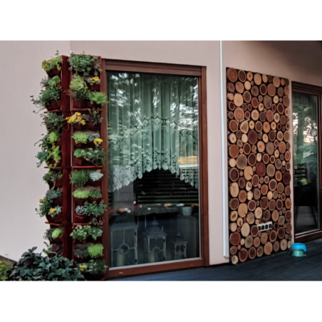 Ozdobny Panel Ścienny ⭑ Plastry Sosnowe ⭑ 1 sztuka