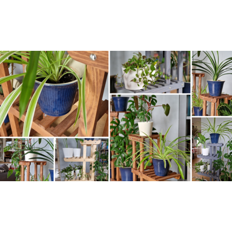 Wielopoziomowy kwietnik drewniany RKB /95x116x25/ Naturalny